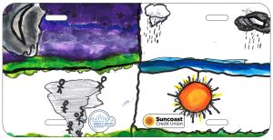 Pamela J. Acosta-Mercedes